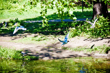 Similar image 21293519