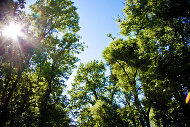 Similar image 21300433