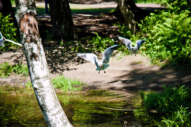 Similar image 21300434