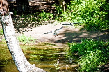 Similar image 21300435