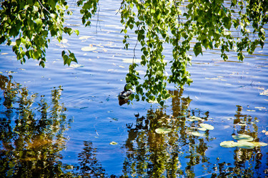 Similar image 21300866