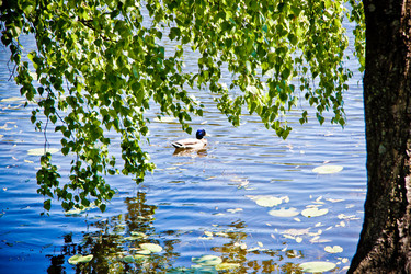 Similar image 21300868