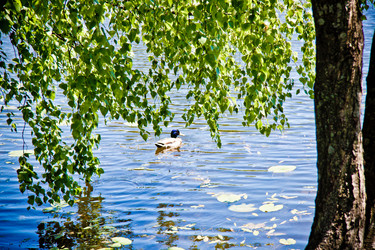 Similar image 21300869