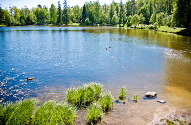 Similar image 21300871