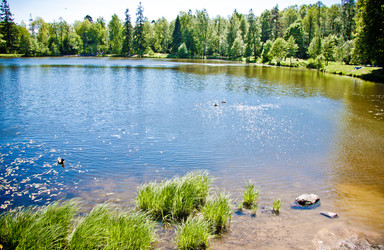 Similar image 21300872