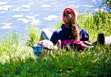 Similar image 21301027