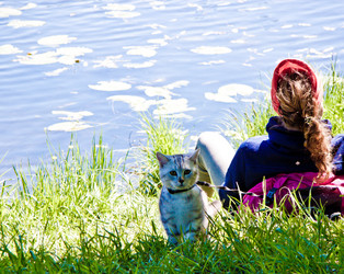 Similar image 21301028