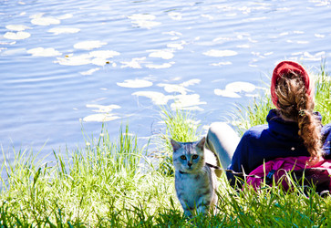 Similar image 21301029