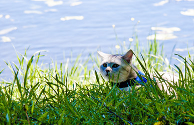 Similar image 21301030