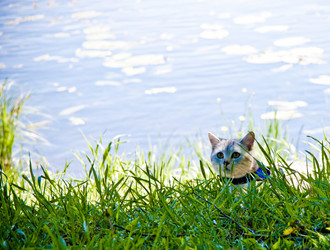 Similar image 21301031