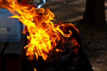 Similar image 21293522