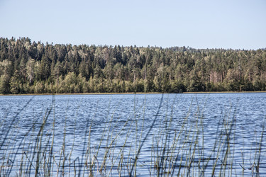 Similar image 21301032