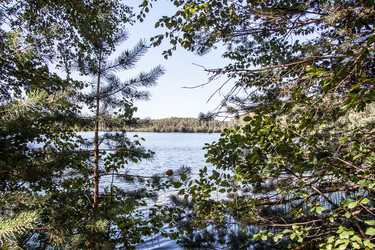 Similar image 21301033