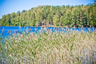 Similar image 21301035