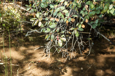 Similar image 21301036