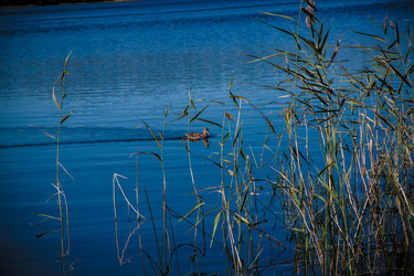 Similar image 21301037