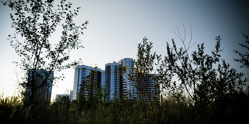 Similar image 21293546