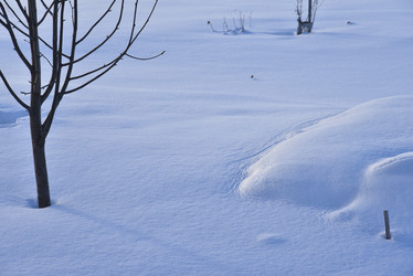 Similar image 21341313