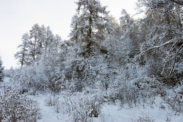 Similar image 21318681