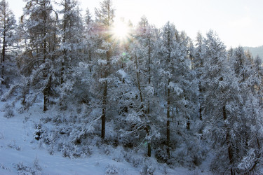 Similar image 21318701