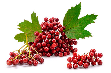 Similar image 21315775