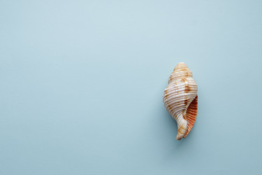 Similar image 21313815