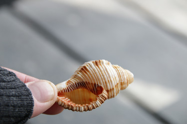 Similar image 21313817