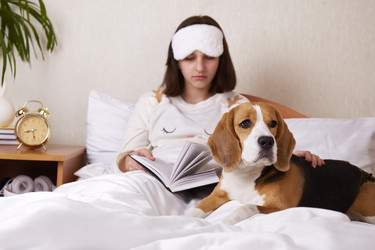 Similar image 21297503