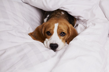 Similar image 21293146