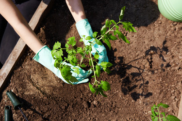 Similar image 21297510