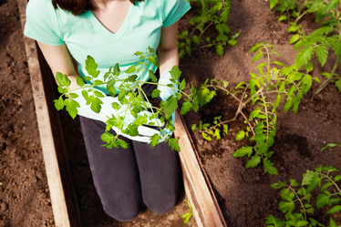 Similar image 21293152