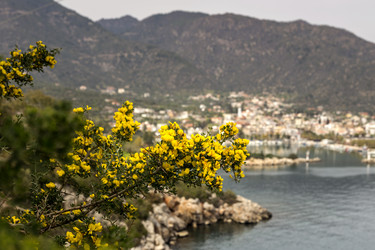 Similar image 21303642