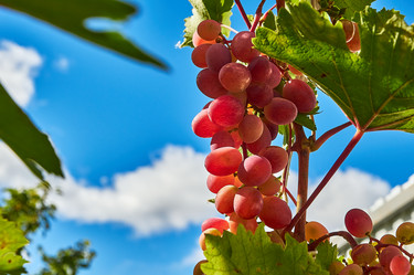 Similar image 21319934