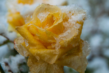 Similar image 21316698