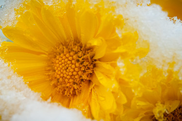 Similar image 21320599