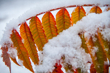 Similar image 21294848