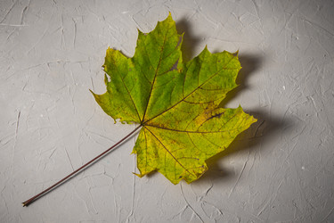 Similar image 21336247