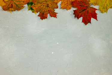 Similar image 21294854