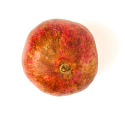 Similar image 21316704