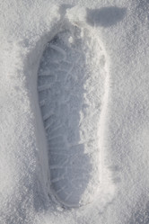 Similar image 21307148