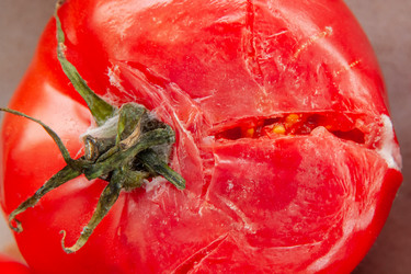 Similar image 21307150