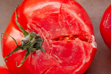 Similar image 21320618