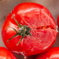 Similar image 21313309