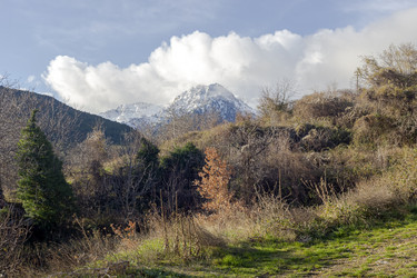 Similar image 21292527