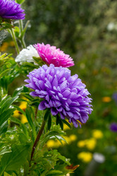 Similar image 21294679