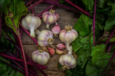 Similar image 21294680