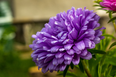 Similar image 21294681