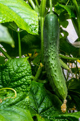 Similar image 21294230