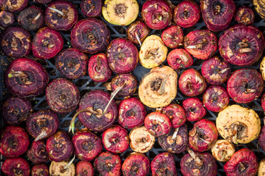 Similar image 21294683