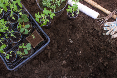 Similar image 21294687